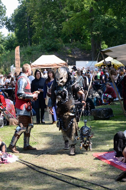 ../Images/Zondag Castlefest 2015 082.jpg